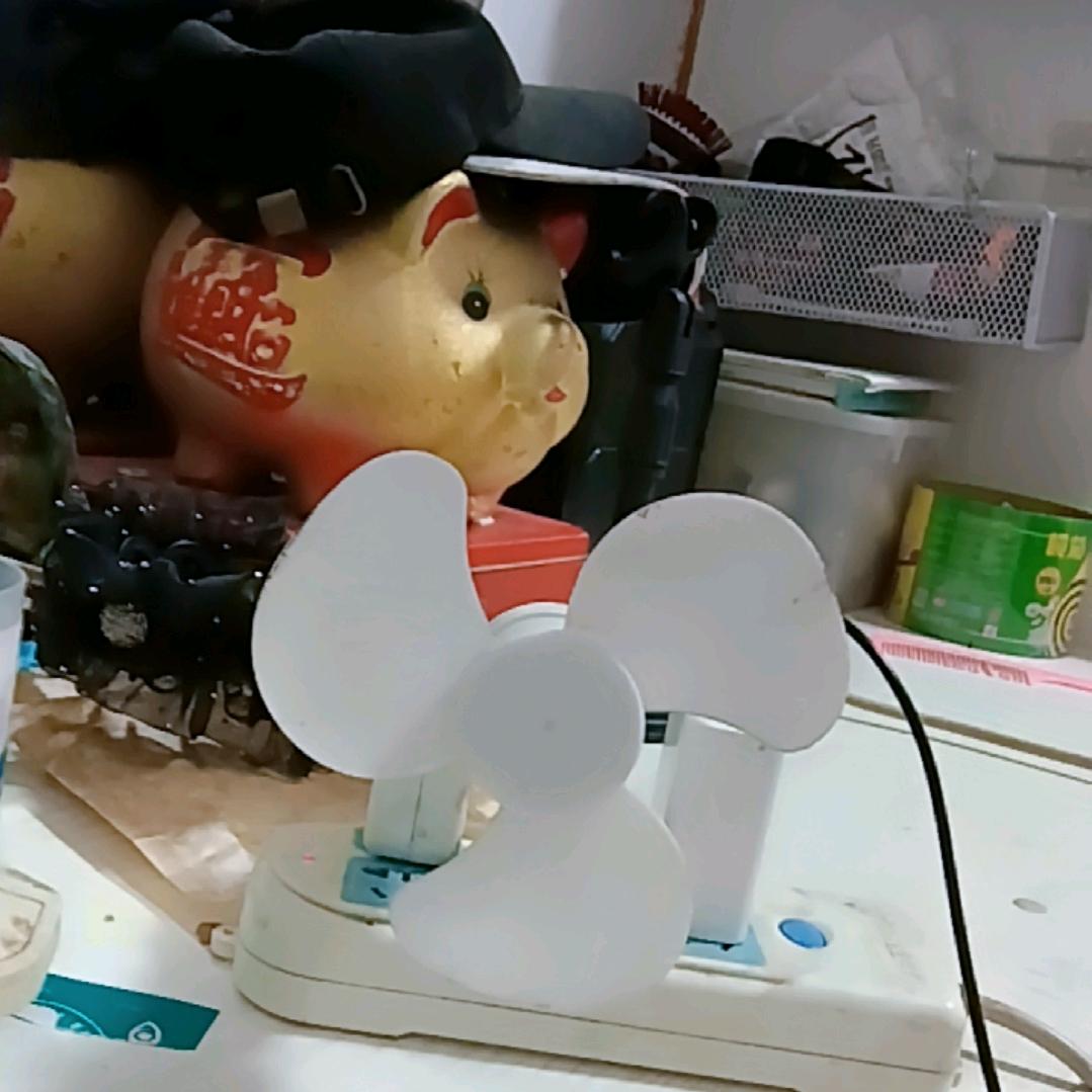 秋叶