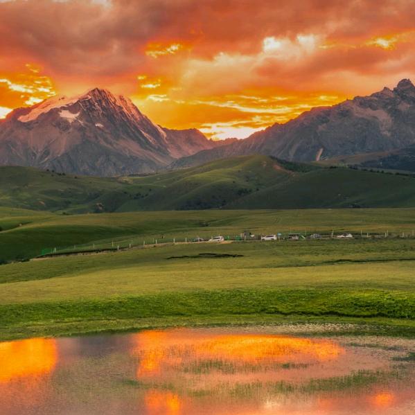 心死在十一月三十日那天