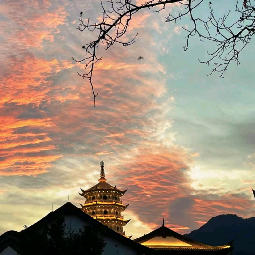 一大块橙子味的巧克力🍫