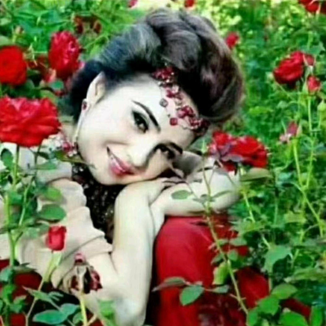 用户3024406561678