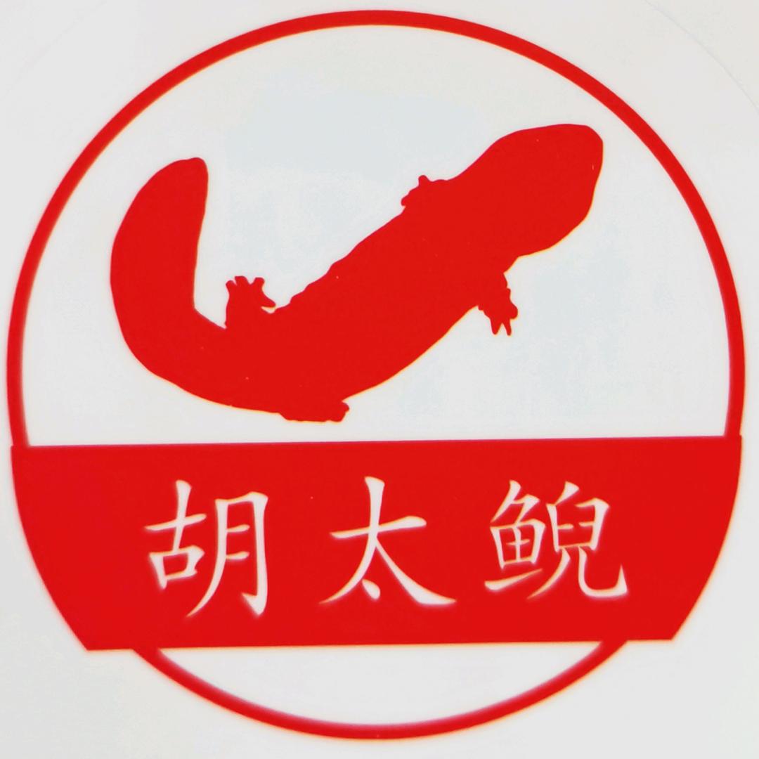 胡太鲵娃娃鱼手工挂面