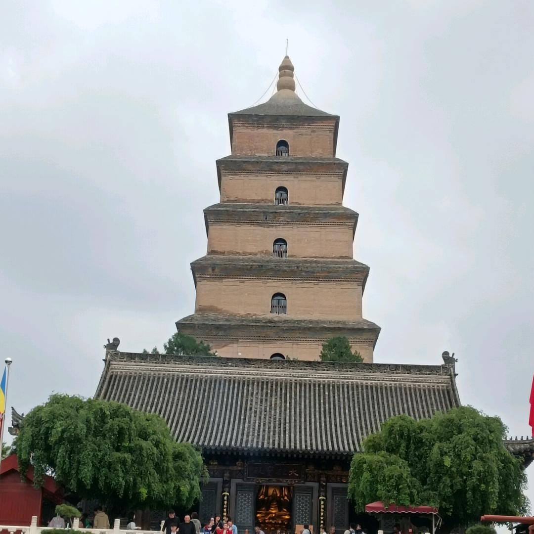 我命由我不由天