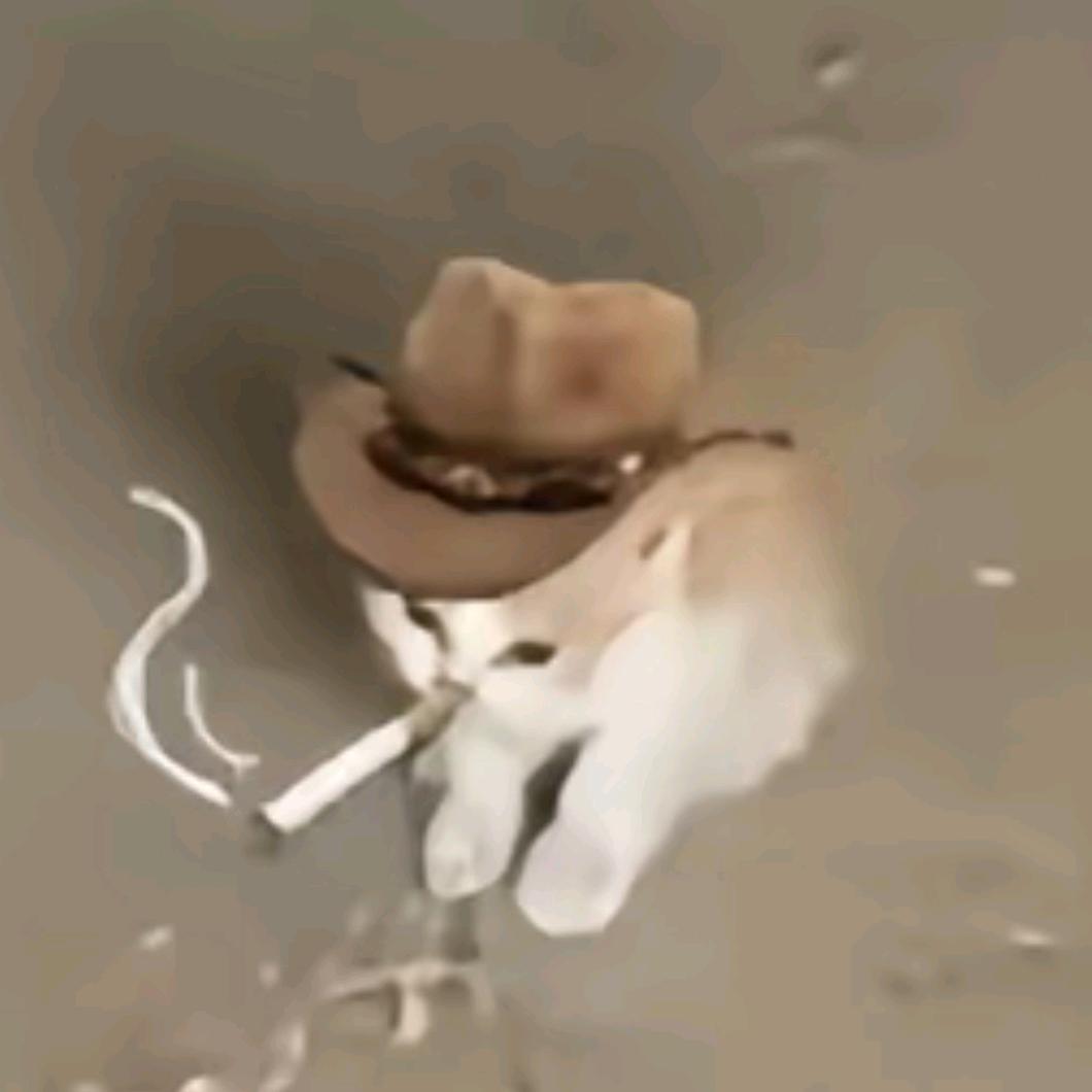 爷傲灬奈我何丶