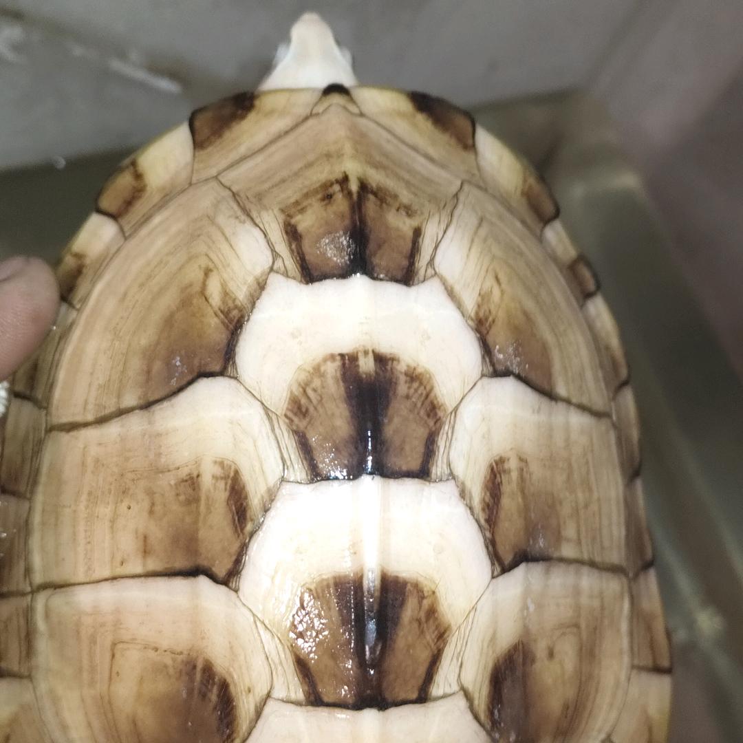 缘来不是你