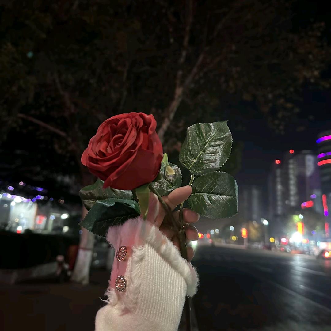 年年岁岁花相似