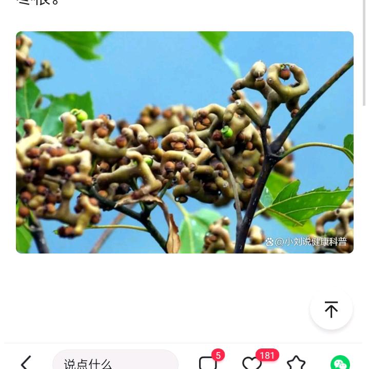 忘掉过去