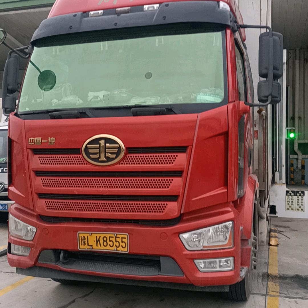 两只可爱的小白兔
