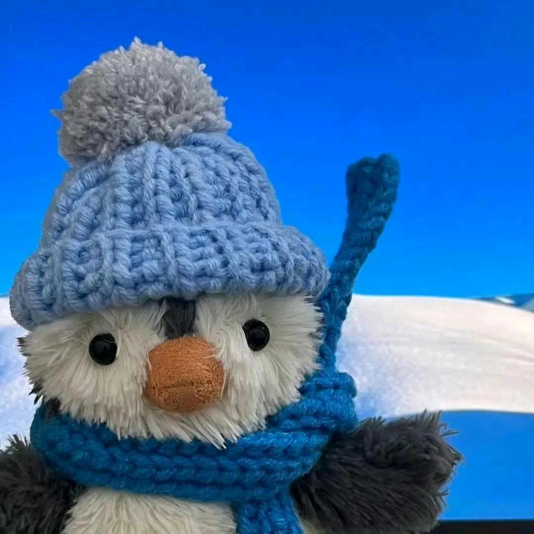 峥雪情