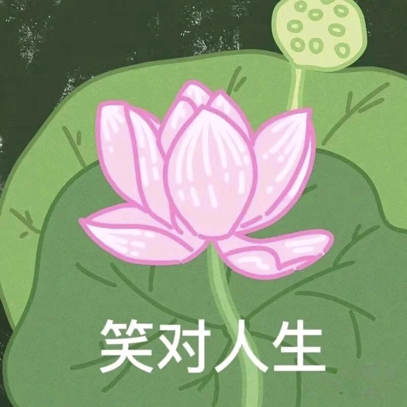 偌诺诺诺菡