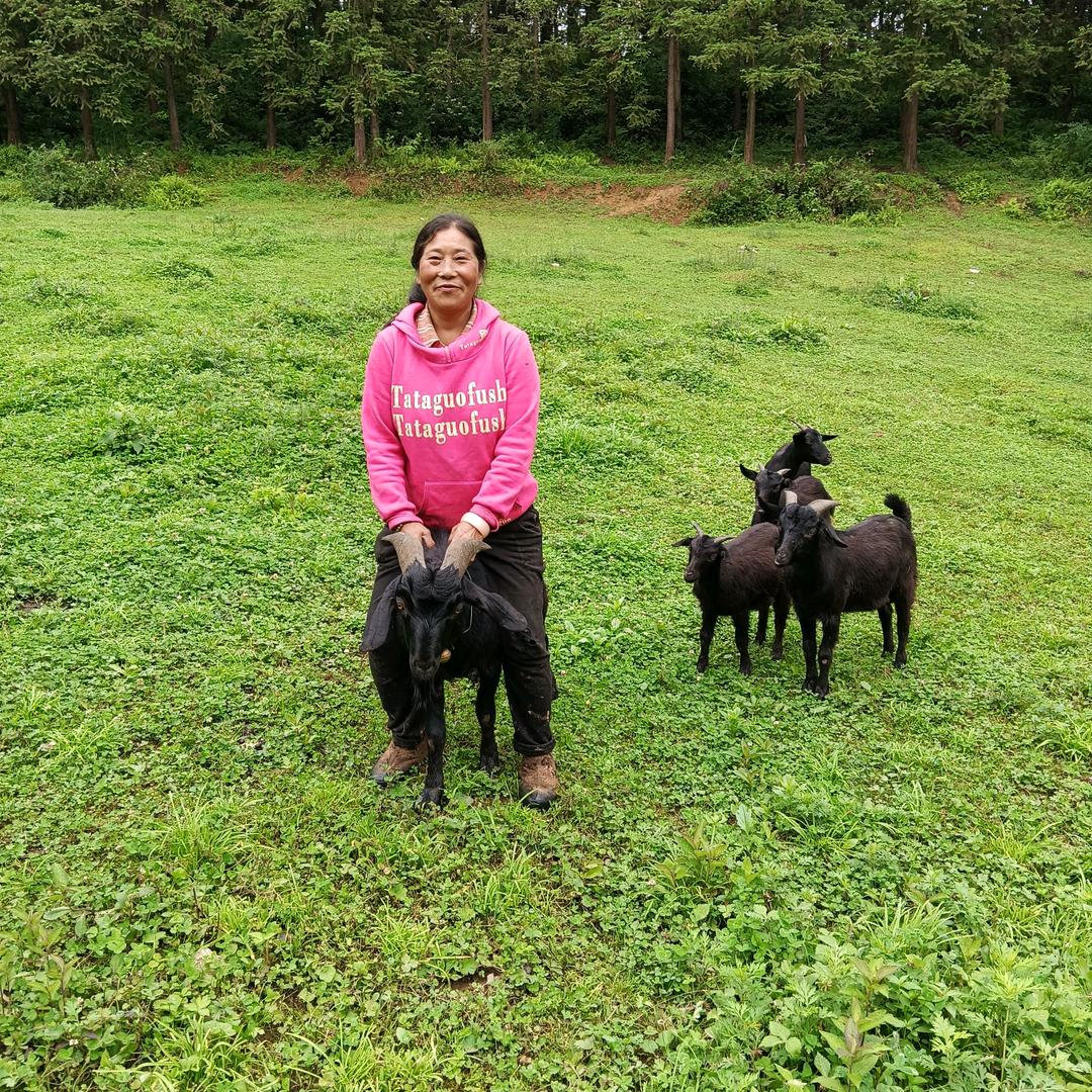 记录生活放🐏人