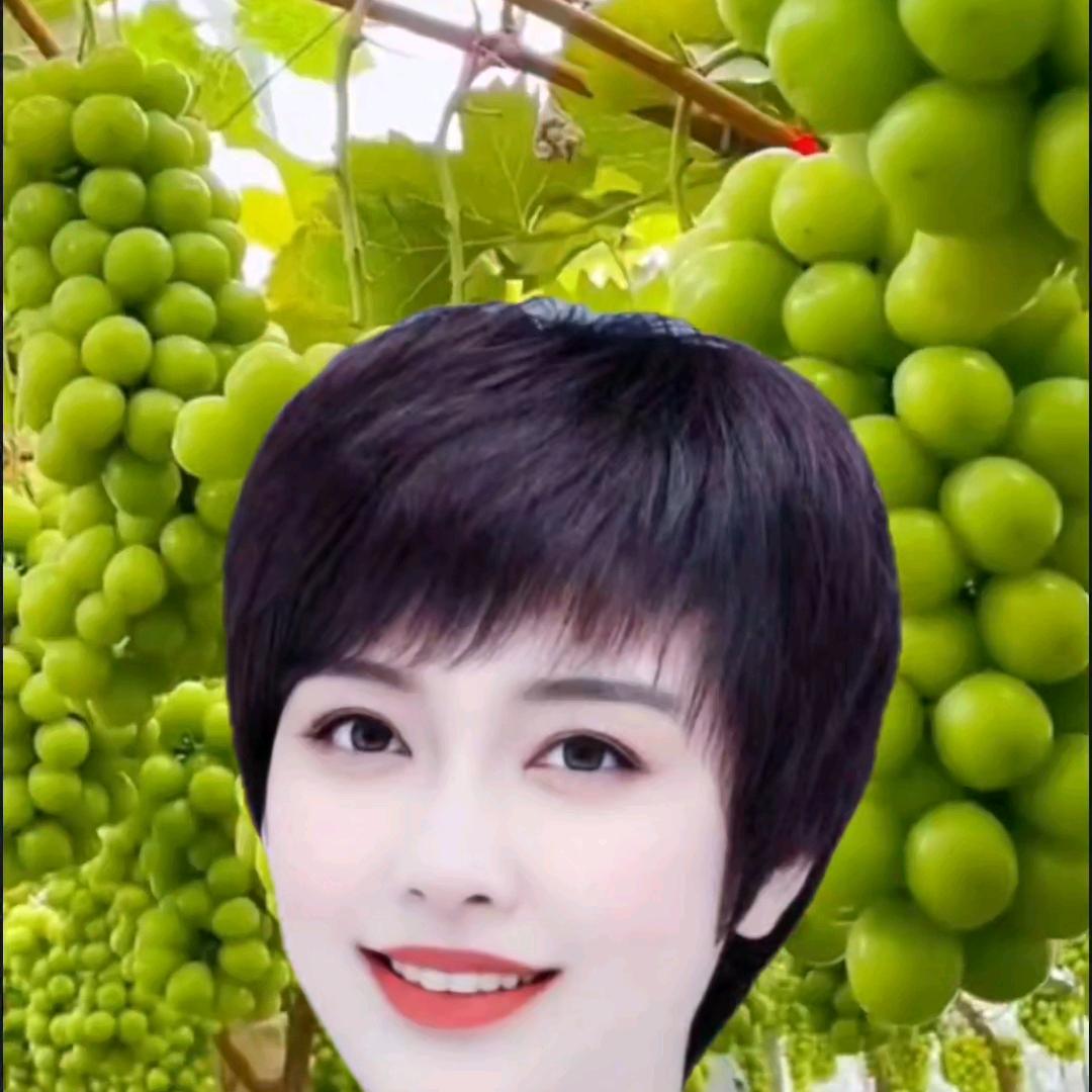 杨姐