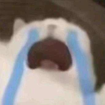 愿Tiki
