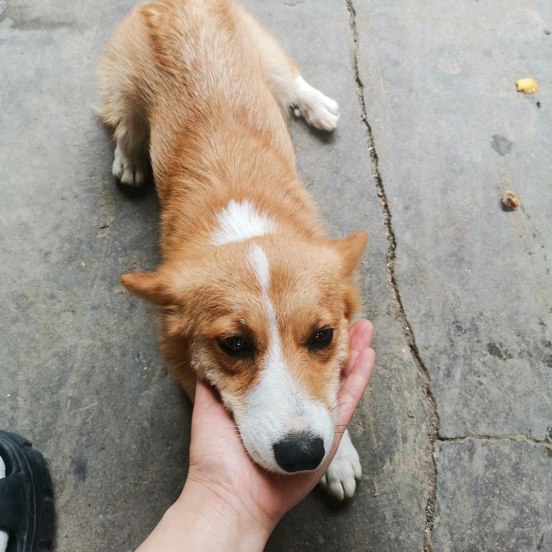 🌈转运珠🍓（再－30斤）