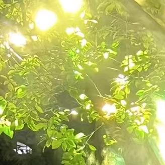 人生何求暴富自由