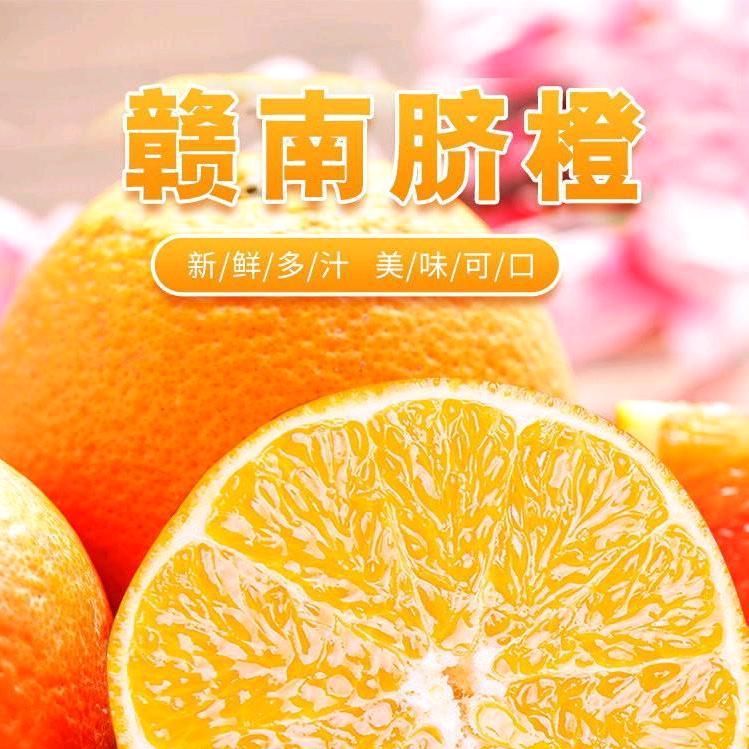 信丰橙鑫食品