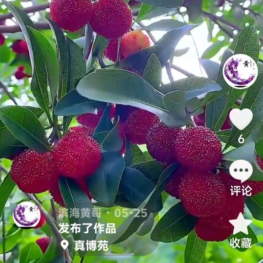 滨海