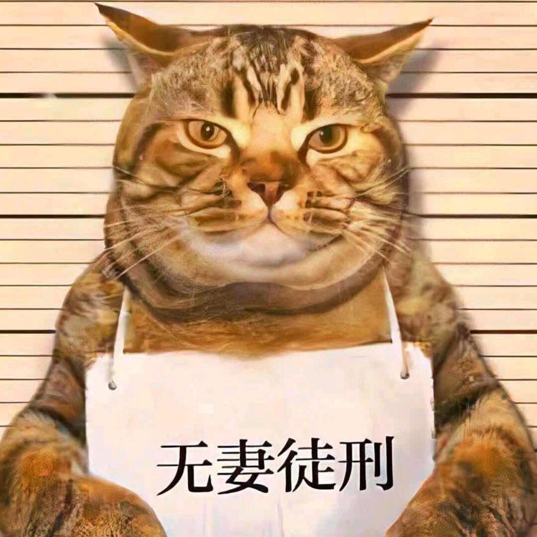 穆念辭