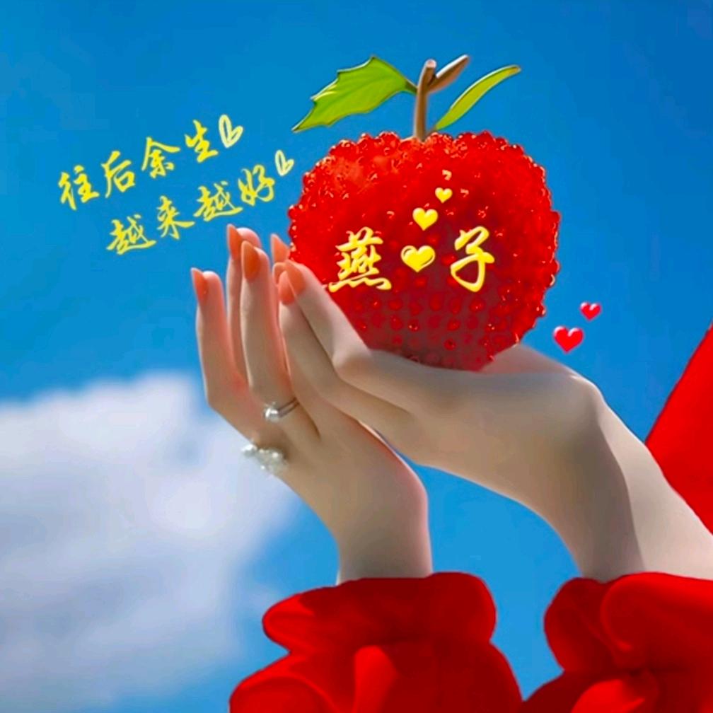 好阿姨家政🐯燕子