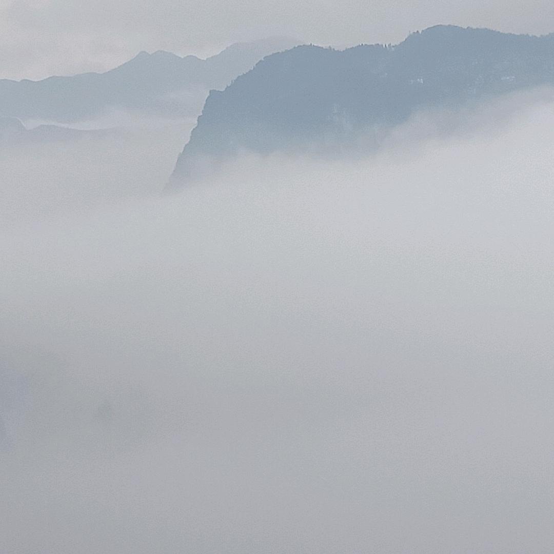 1176713174我