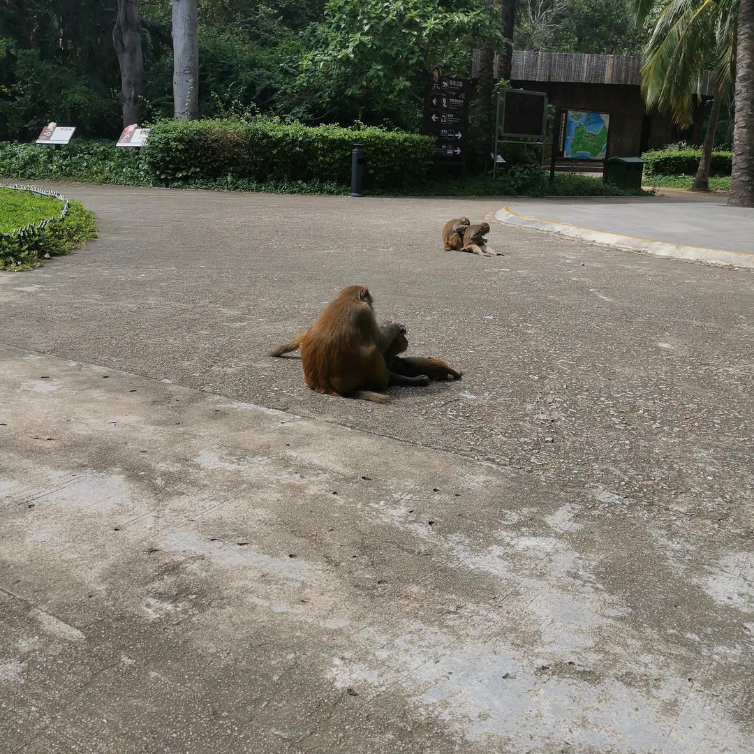 一起看东华的风景