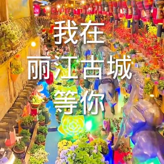 大棚施工队