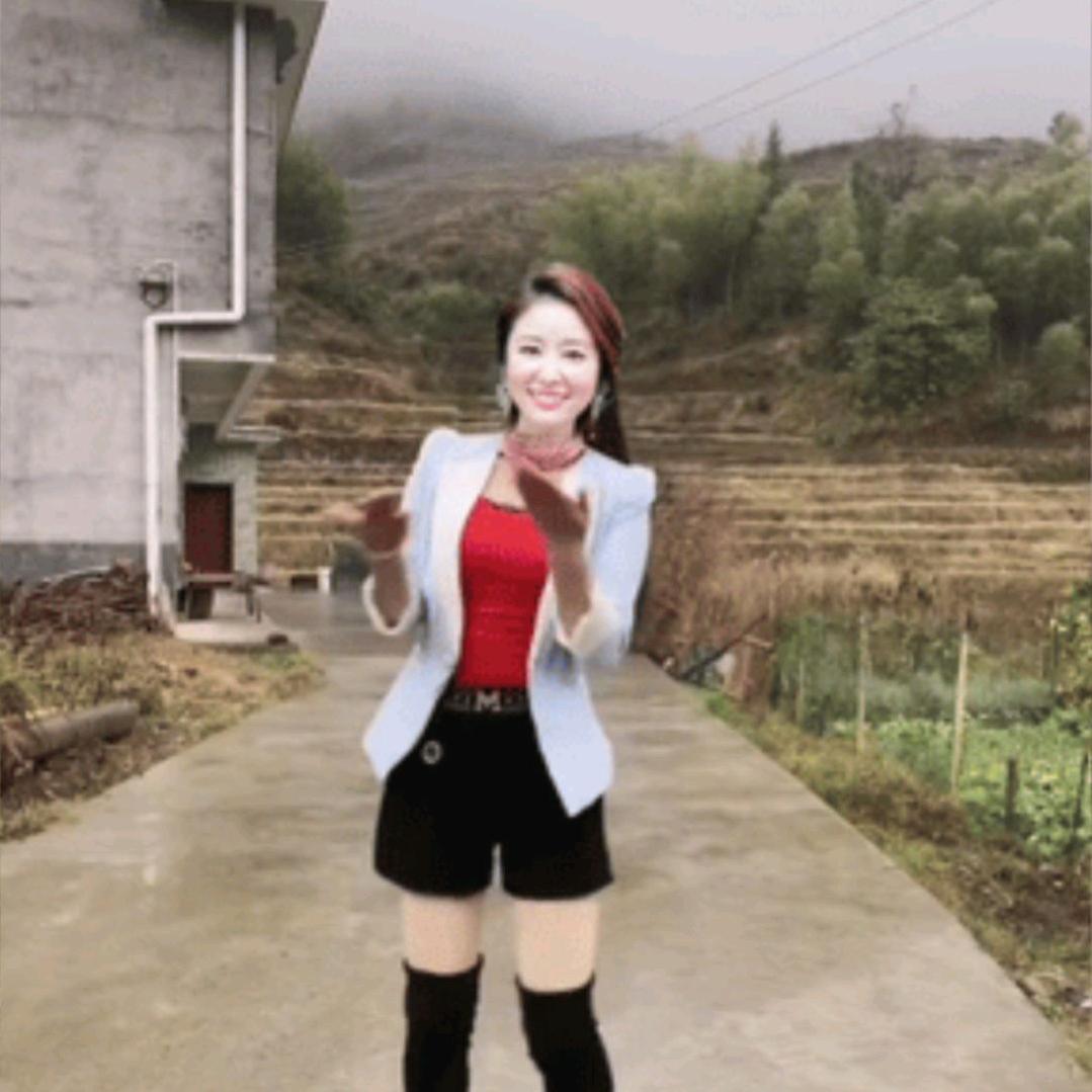 刘敏小飞燕