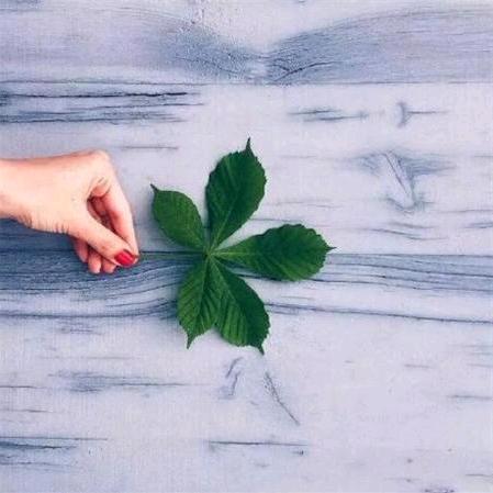 交通学校刘老师