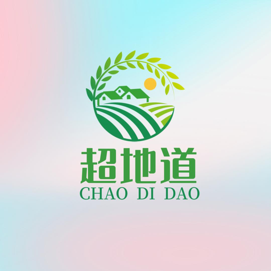 一善哥精选