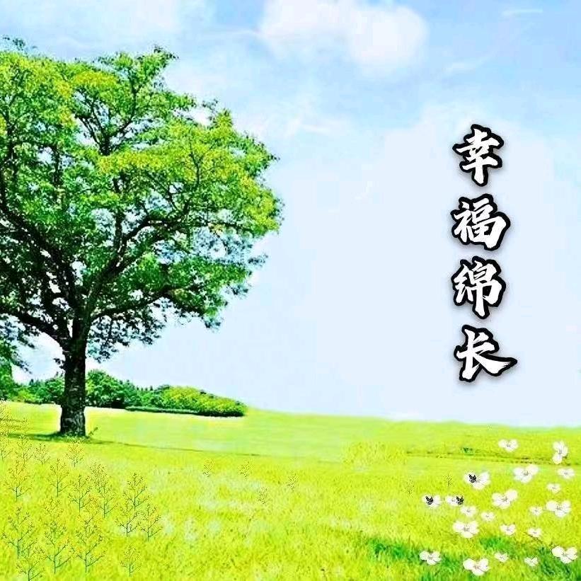 杜聿宽