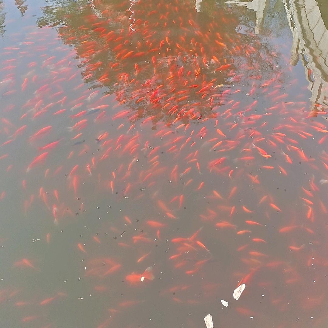 幸福快乐