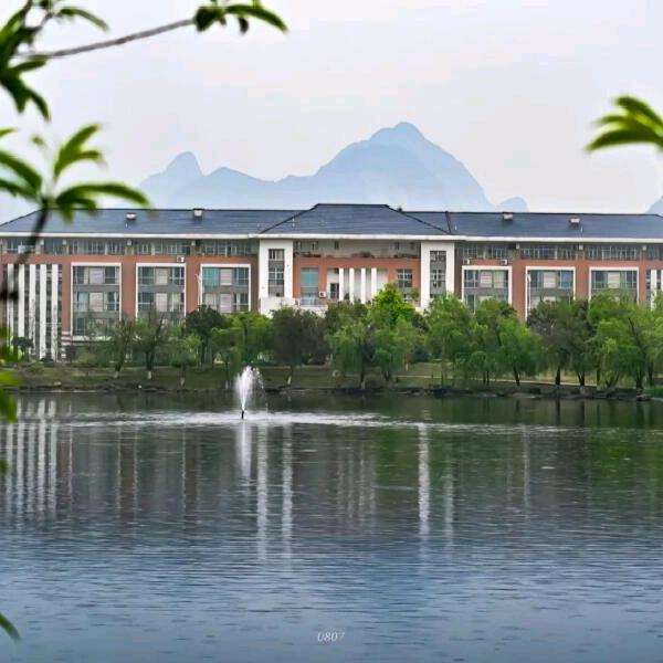 努力只为更好的明天