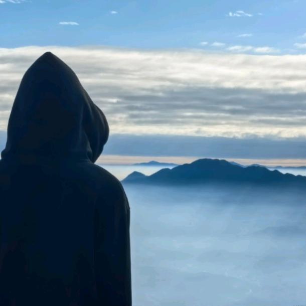 词冉