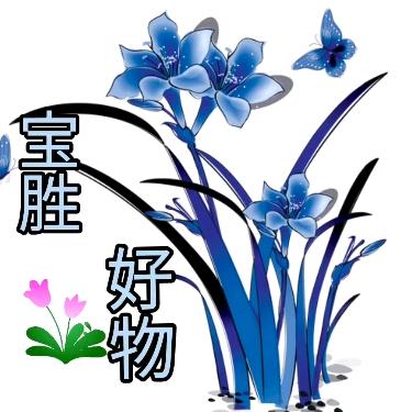 宝胜好物分享