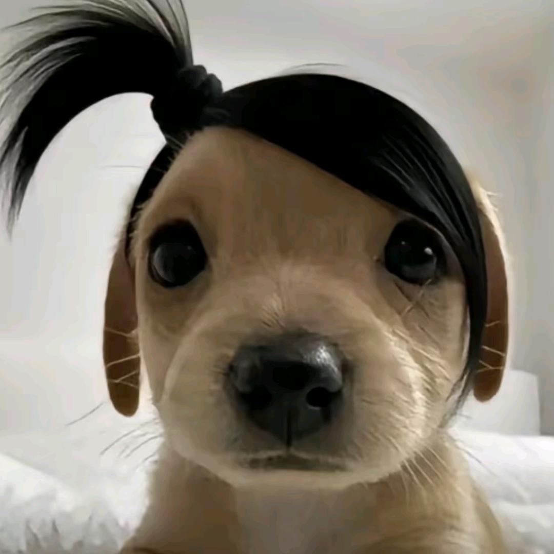 嘻嘻嘻嘻嘻嘻嘻