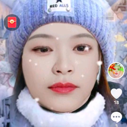 傲雪寒梅