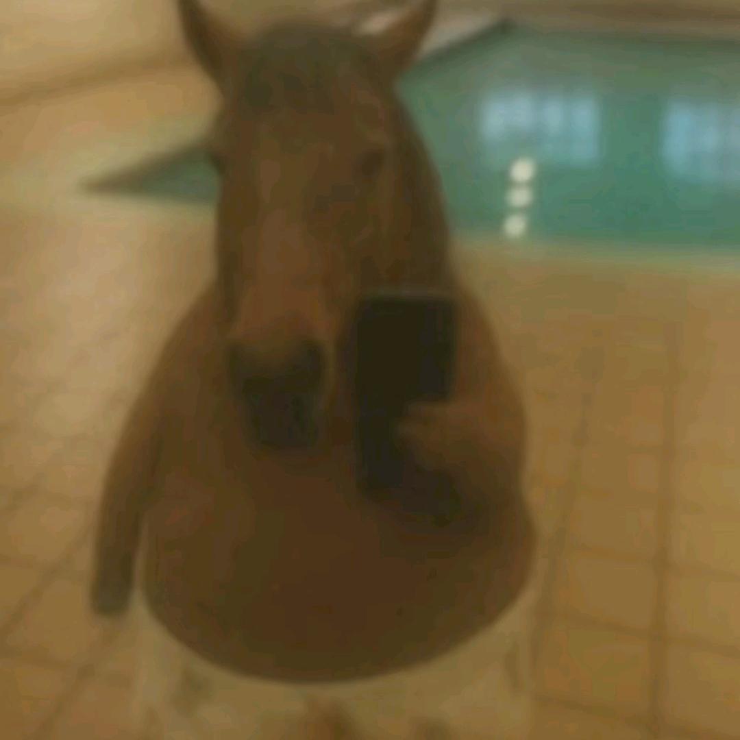 还想她