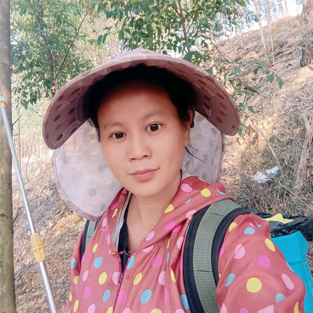 杨姐