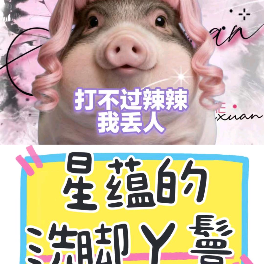 北北✨