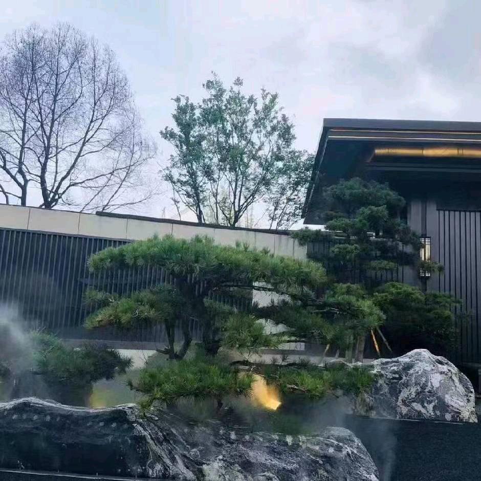 亮剑🙏自如