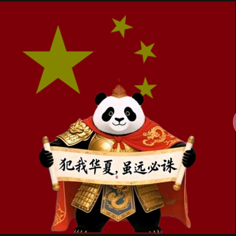 🇨🇳犯我中华者，虽远必诛💤