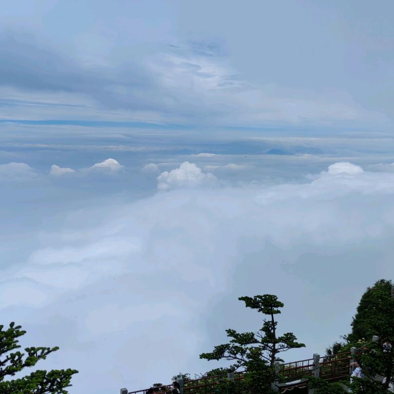 一冉361