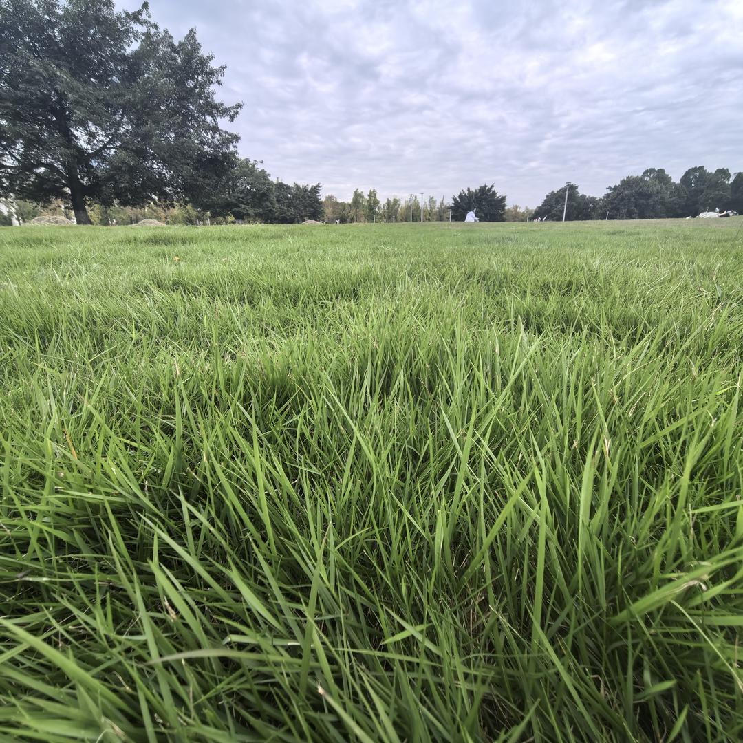 一寸光阴一寸金