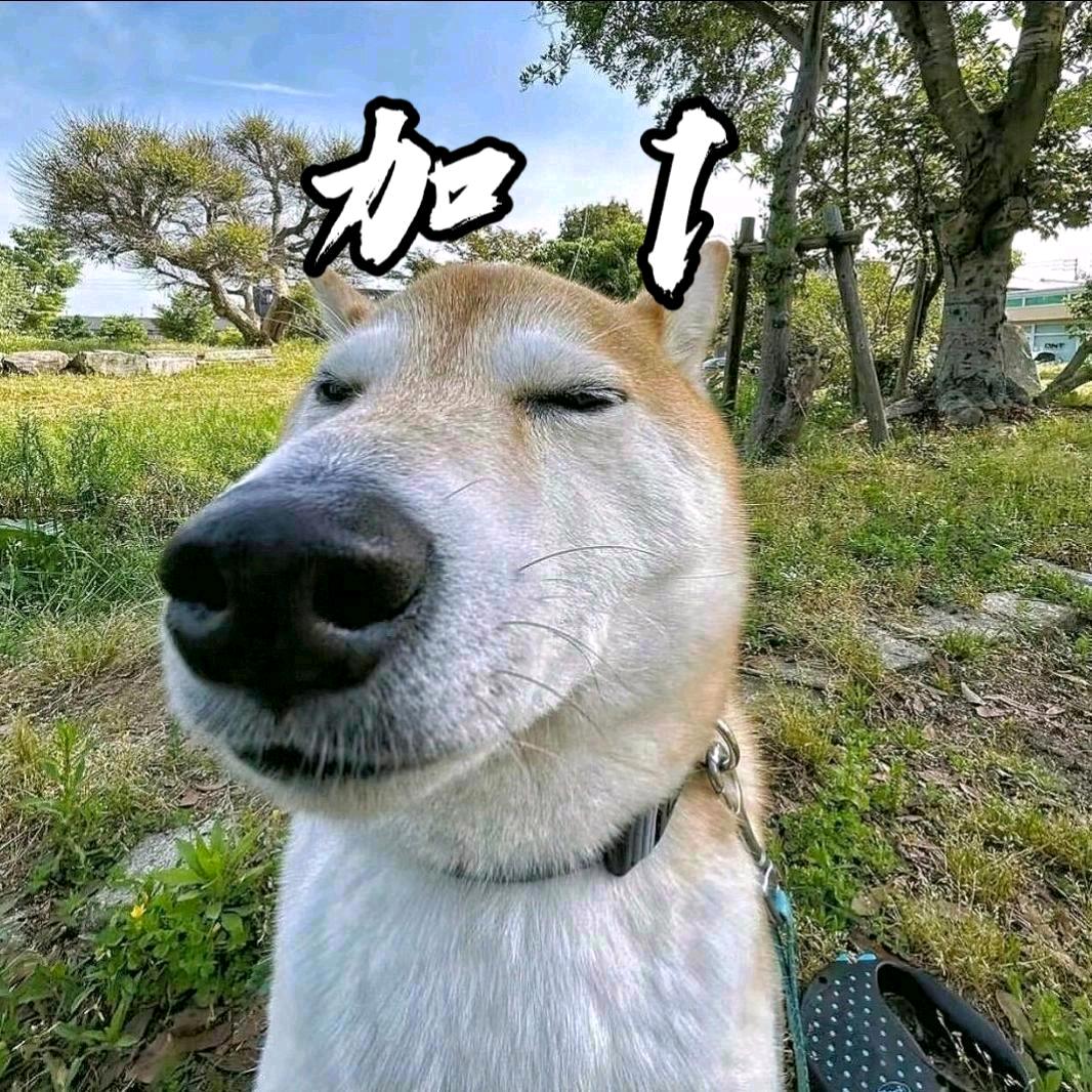 加1（萤火突击）扶我电竞
