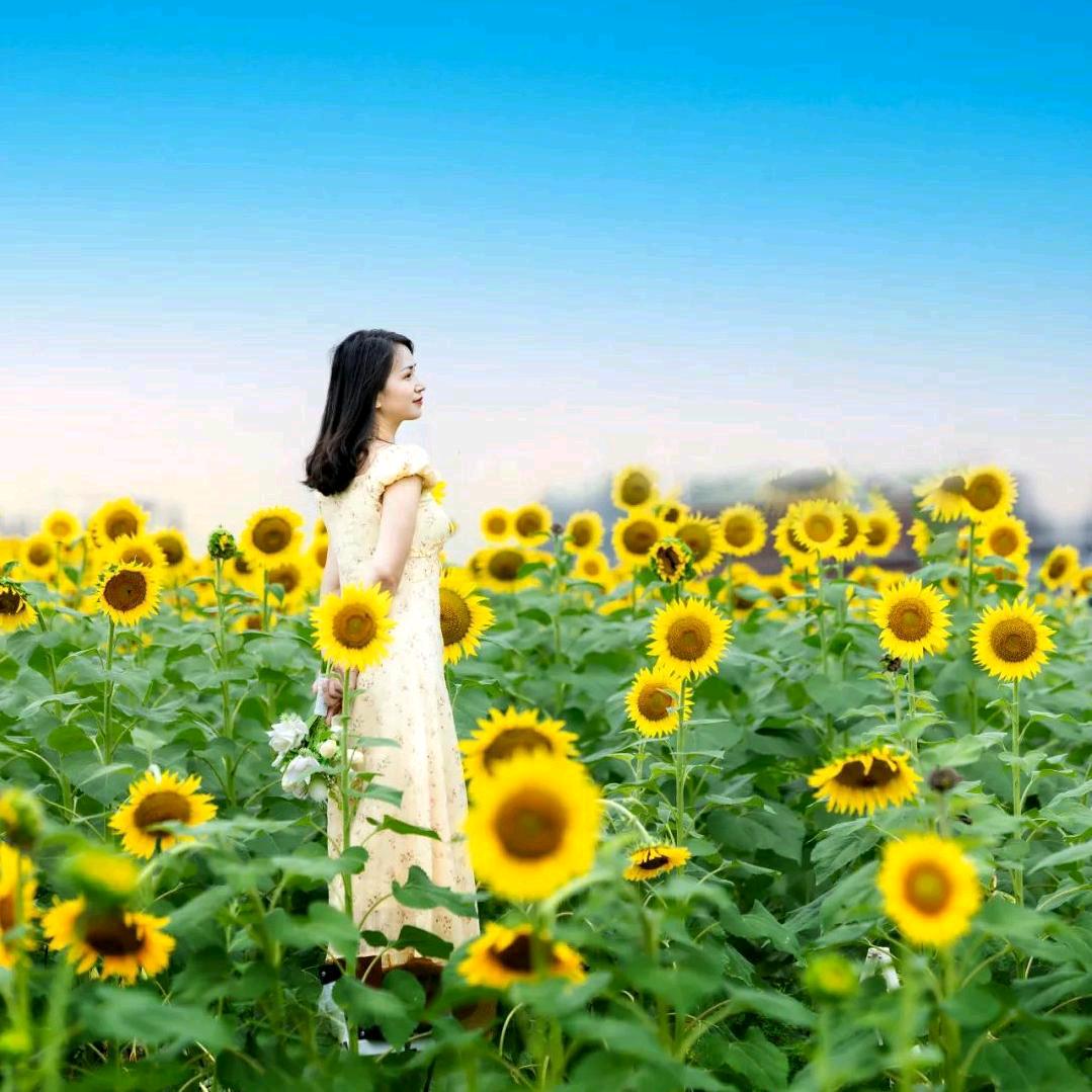 @一范风顺🎋