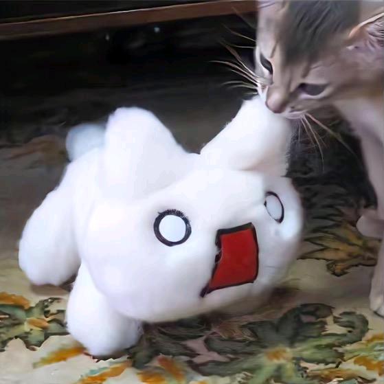 随便.（求推荐版