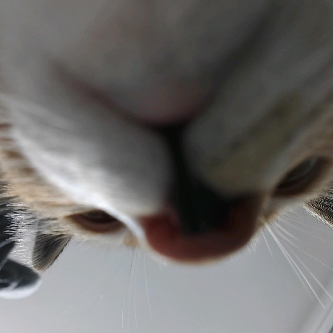 ￴ ￴ ￴￴ ￴ ￴ ￴