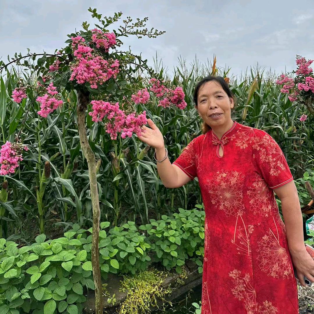 雨后彩虹”（生活号）
