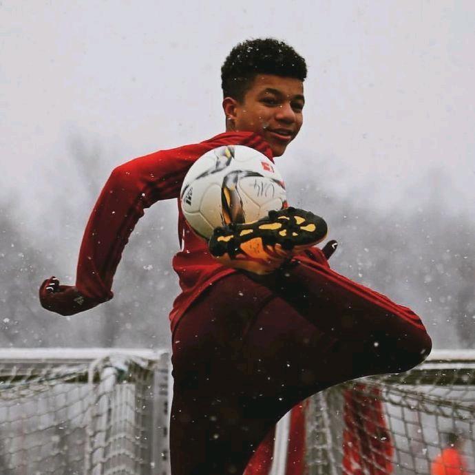 吉吉国民霍去病（无畏契约）