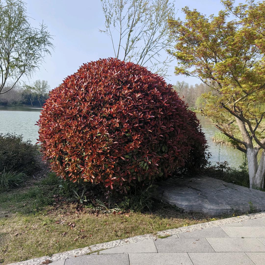 🍒এ᭄相 ꦿ见狠晚 ོ࿐ᩚ