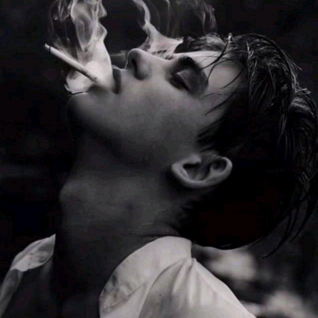 太阳东升西落 浪漫至死不渝